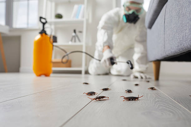 Commercial Kitchen Cockroach Control in Dillon